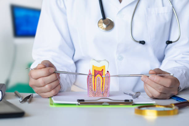 Best Urgent Care for Lost Fillings or Crowns in Tton, IL